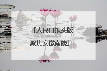 人民日报头版聚焦安徽南陵