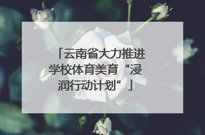 云南省大力推进学校体育美育“浸润行动计划”