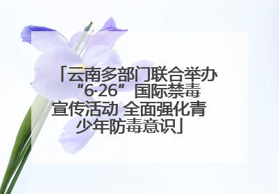 云南多部门联合举办“6·26”国际禁毒宣传活动 全面强化青少年防毒意识