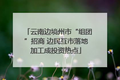 云南边境州市“组团”招商 边民互市落地加工成投资热点