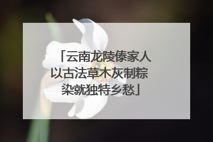 云南龙陵傣家人以古法草木灰制粽 染就独特乡愁