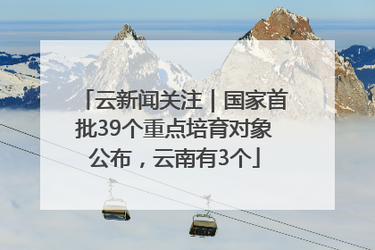 云新闻关注｜国家首批39个重点培育对象公布，云南有3个