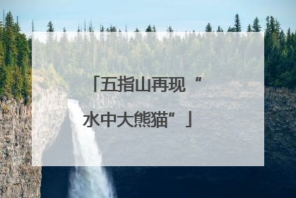 五指山再现“水中大熊猫”