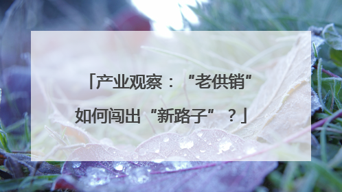 产业观察：“老供销”如何闯出“新路子”？