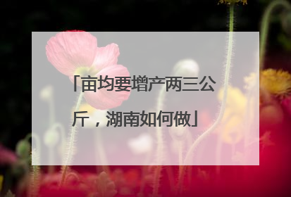 亩均要增产两三公斤，湖南如何做