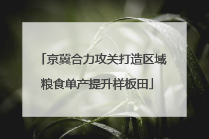 京冀合力攻关打造区域粮食单产提升样板田