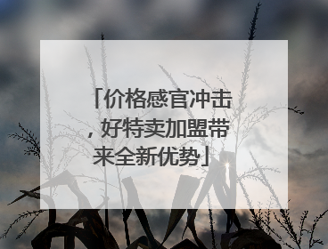 价格感官冲击，好特卖加盟带来全新优势