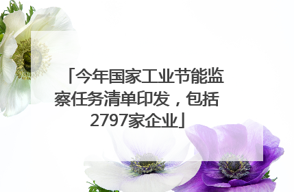 今年国家工业节能监察任务清单印发，包括2797家企业