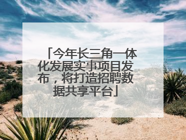 今年长三角一体化发展实事项目发布,将打造招聘数据共享平台