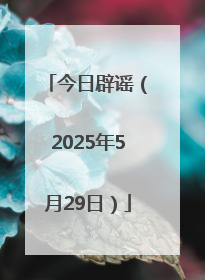 今日辟谣（2025年5月29日）