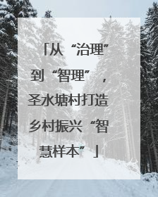 从“治理”到“智理”，圣水塘村打造乡村振兴“智慧样本”