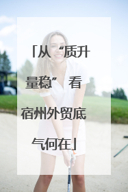 从“质升量稳” 看宿州外贸底气何在