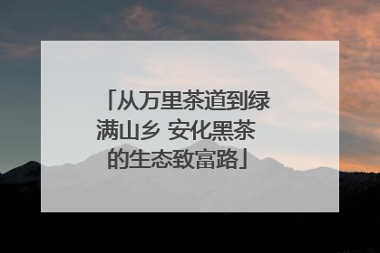 从万里茶道到绿满山乡 安化黑茶的生态致富路