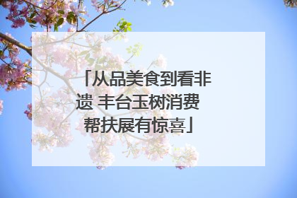 从品美食到看非遗 丰台玉树消费帮扶展有惊喜