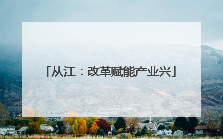 从江：改革赋能产业兴