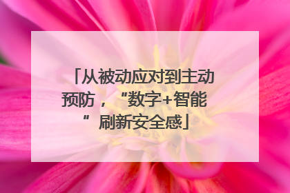 从被动应对到主动预防，“数字+智能”刷新安全感