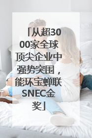 从超3000家全球顶尖企业中强势突围，能环宝蝉联SNEC金奖