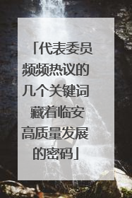 代表委员频频热议的几个关键词 藏着临安高质量发展的密码