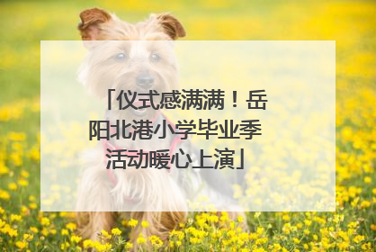 仪式感满满！岳阳北港小学毕业季活动暖心上演