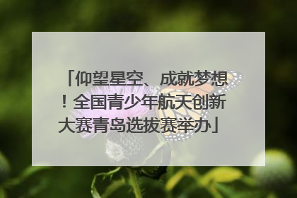 仰望星空、成就梦想！全国青少年航天创新大赛青岛选拔赛举办