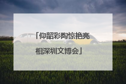 仰韶彩陶惊艳亮相深圳文博会