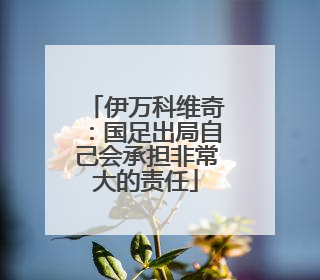 伊万科维奇：国足出局自己会承担非常大的责任