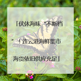 伏休海味“不断档”！连云港海鲜集市海货依旧供应充足