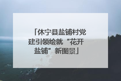 休宁县盐铺村党建引领绘就“花开盐铺”新图景