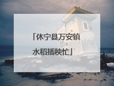 休宁县万安镇水稻插秧忙