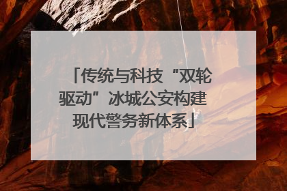 传统与科技“双轮驱动”冰城公安构建现代警务新体系