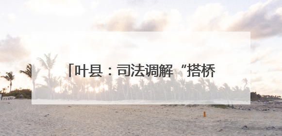 叶县：司法调解“搭桥” 稳企护商“路宽”