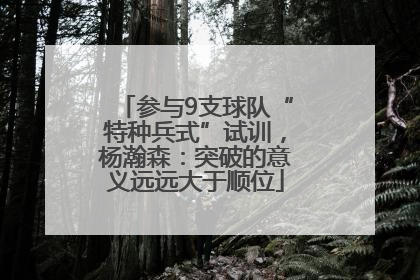 参与9支球队“特种兵式”试训，杨瀚森：突破的意义远远大于顺位