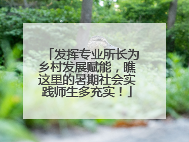 发挥专业所长为乡村发展赋能，瞧这里的暑期社会实践师生多充实！