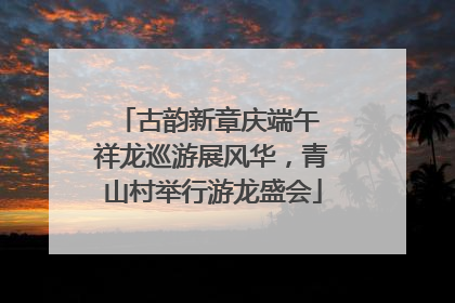 古韵新章庆端午 祥龙巡游展风华，青山村举行游龙盛会