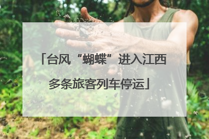 台风“蝴蝶”进入江西 多条旅客列车停运