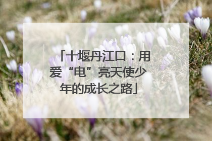 十堰丹江口：用爱“电”亮天使少年的成长之路