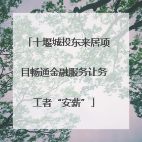 十堰城投东来居项目畅通金融服务让务工者“安薪”