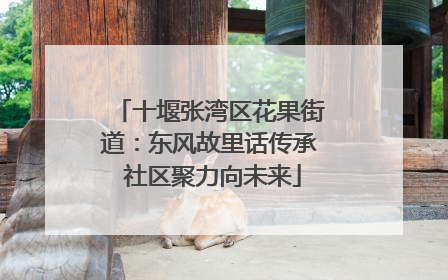 十堰张湾区花果街道：东风故里话传承 社区聚力向未来