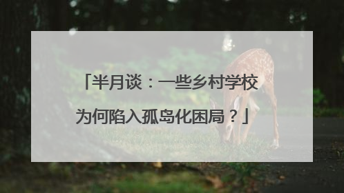 半月谈：一些乡村学校为何陷入孤岛化困局？