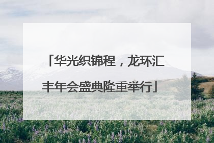 华光织锦程，龙环汇丰年会盛典隆重举行