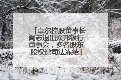 卓尔控股董事长阎志退出众邦银行董事会，多名股东股权遭司法冻结