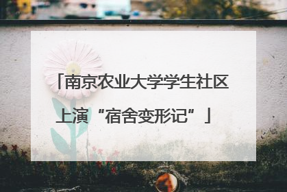 南京农业大学学生社区上演“宿舍变形记”
