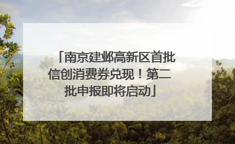 南京建邺高新区首批信创消费券兑现！第二批申报即将启动