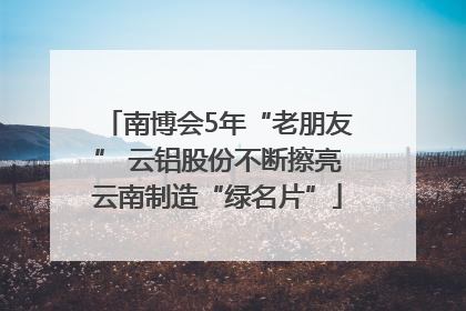 南博会5年“老朋友” 云铝股份不断擦亮云南制造“绿名片”