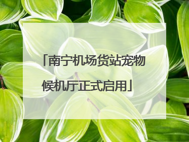 南宁机场货站宠物候机厅正式启用
