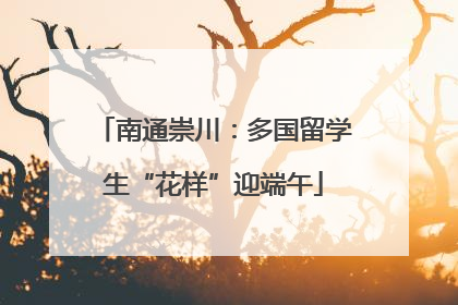 南通崇川：多国留学生“花样”迎端午