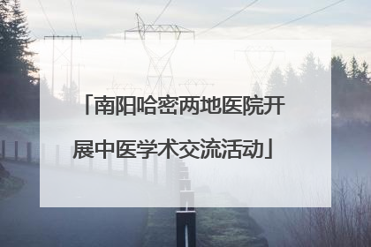 南阳哈密两地医院开展中医学术交流活动