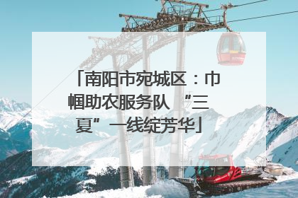 南阳市宛城区：巾帼助农服务队 “三夏”一线绽芳华