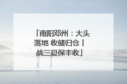 南阳邓州：大头落地 收储归仓丨战三夏保丰收
