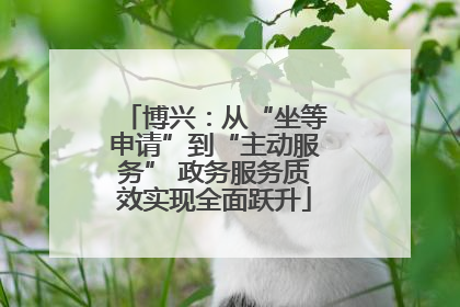 博兴：从“坐等申请”到“主动服务” 政务服务质效实现全面跃升